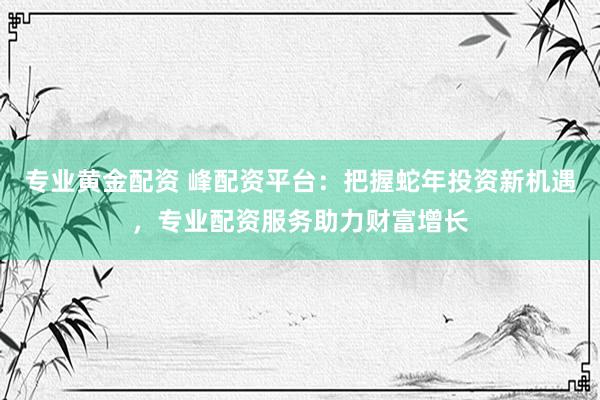 专业黄金配资 峰配资平台：把握蛇年投资新机遇，专业配资服务助力财富增长
