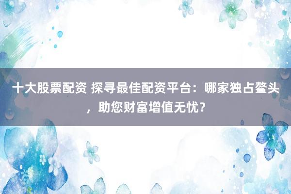 十大股票配资 探寻最佳配资平台：哪家独占鳌头，助您财富增值无忧？