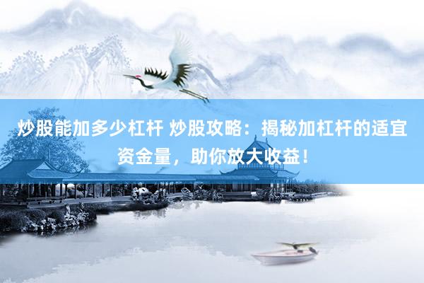 炒股能加多少杠杆 炒股攻略：揭秘加杠杆的适宜资金量，助你放大收益！