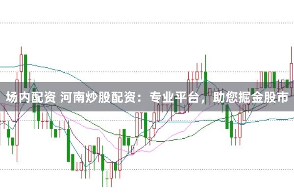 场内配资 河南炒股配资：专业平台，助您掘金股市