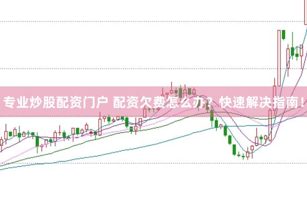 专业炒股配资门户 配资欠费怎么办？快速解决指南！
