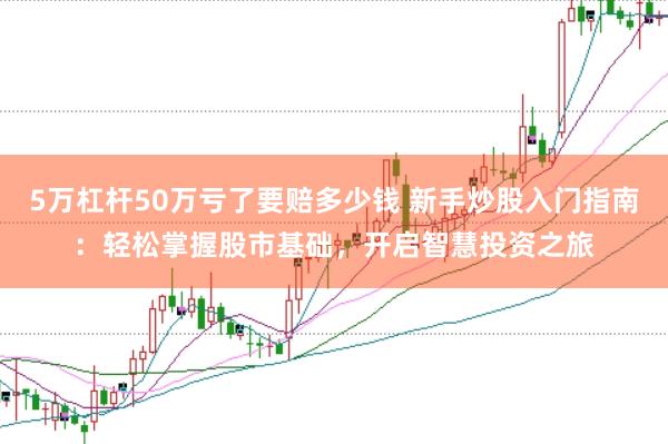 5万杠杆50万亏了要赔多少钱 新手炒股入门指南：轻松掌握股市基础，开启智慧投资之旅