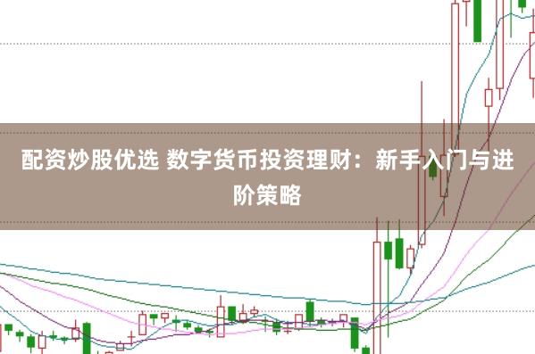 配资炒股优选 数字货币投资理财：新手入门与进阶策略