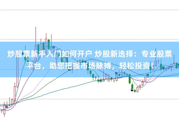 炒股票新手入门如何开户 炒股新选择：专业股票平台，助您把握市场脉搏，轻松投资！