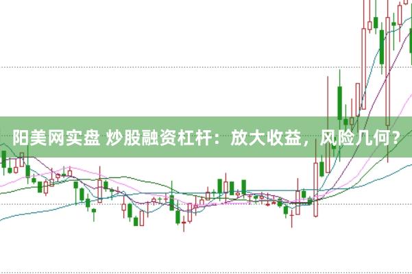 阳美网实盘 炒股融资杠杆：放大收益，风险几何？