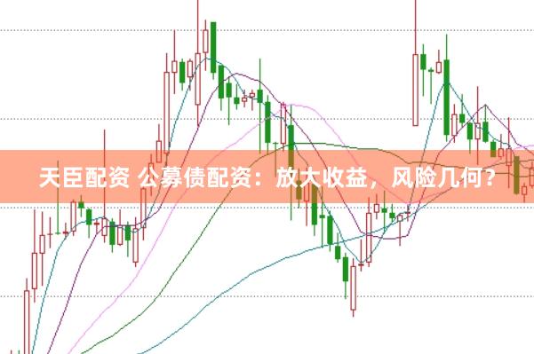 天臣配资 公募债配资：放大收益，风险几何？