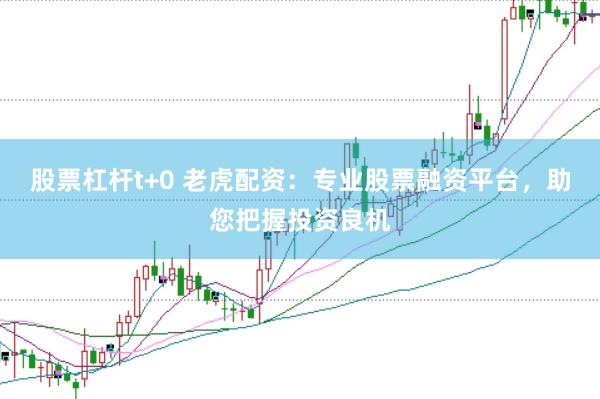 股票杠杆t+0 老虎配资：专业股票融资平台，助您把握投资良机