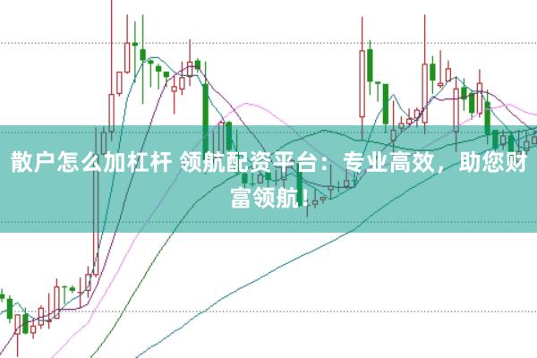 散户怎么加杠杆 领航配资平台：专业高效，助您财富领航！