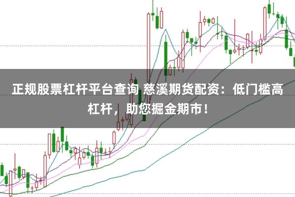 正规股票杠杆平台查询 慈溪期货配资：低门槛高杠杆，助您掘金期市！