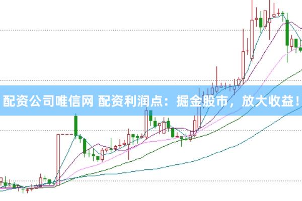 配资公司唯信网 配资利润点:掘金股市,放大收益!
