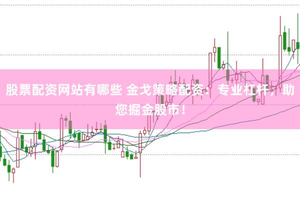 股票配资网站有哪些 金戈策略配资：专业杠杆，助您掘金股市！